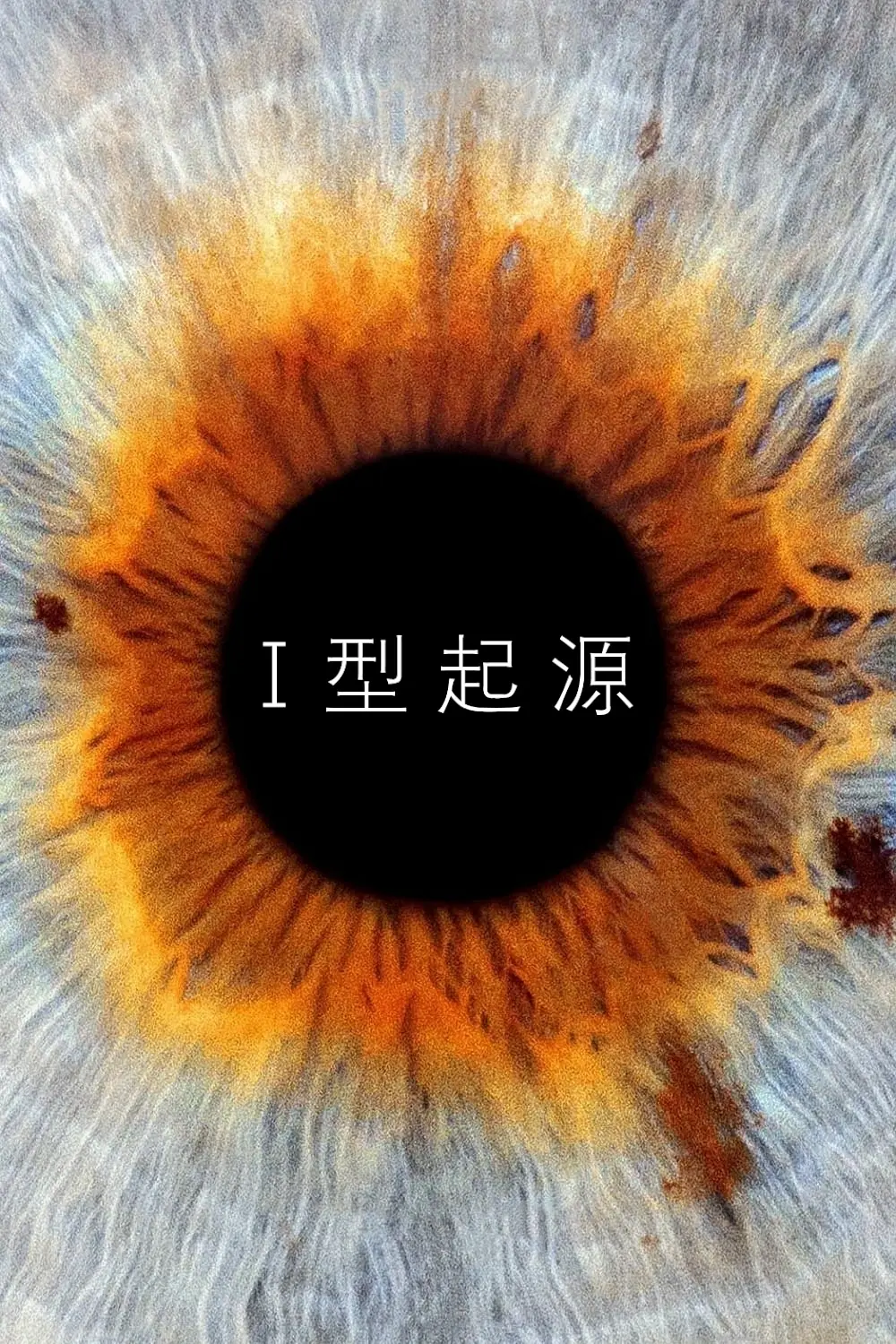 【电影】I型起源 I Origins (2014) 1080P高清REMUX  剧情 / 科幻 英语中字 夸克网盘