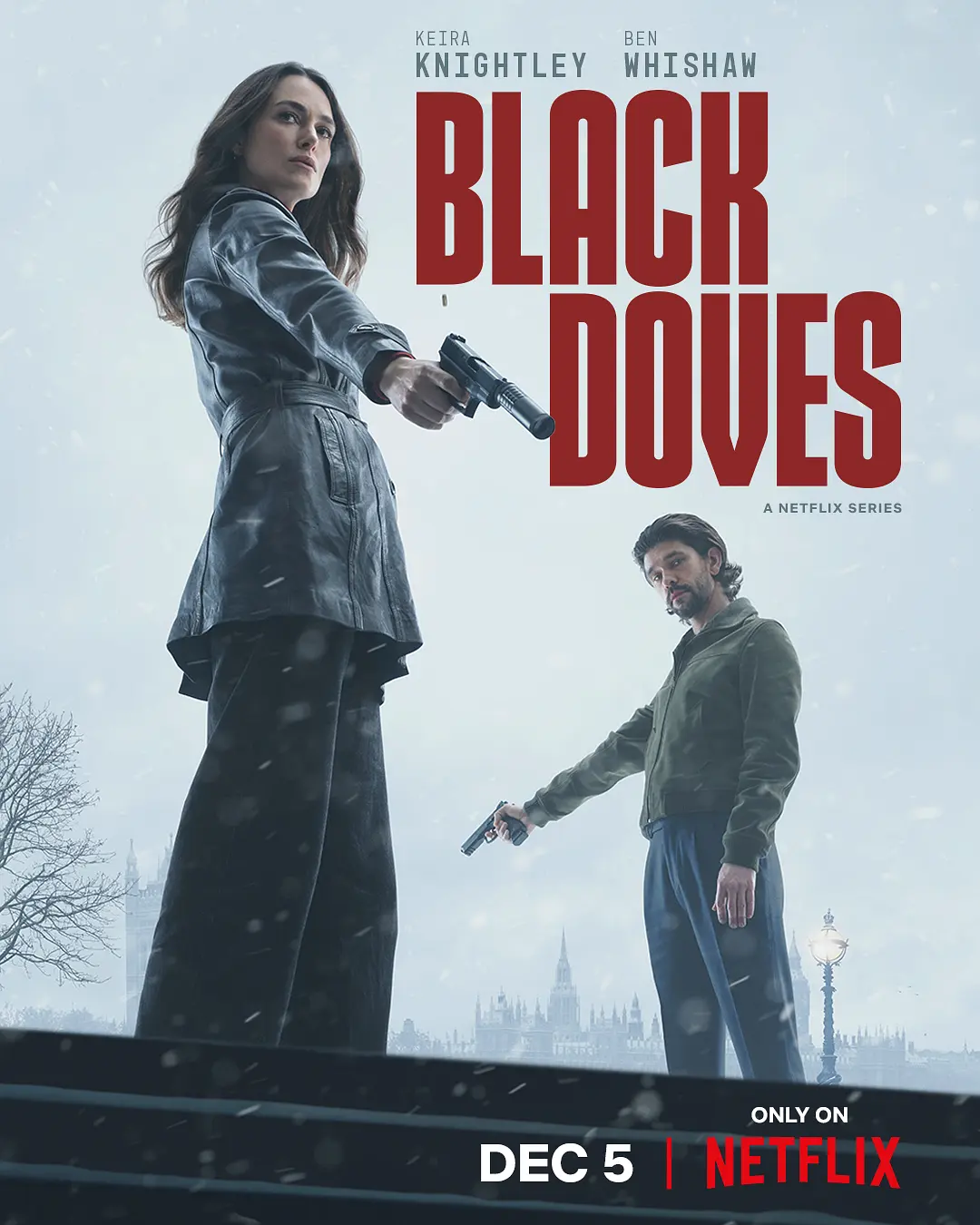 【英剧】黑鸽 Black Doves (2024) 1080P高清 动作 / 悬疑 / 惊悚 英语中字 夸克百度迅雷UC网盘