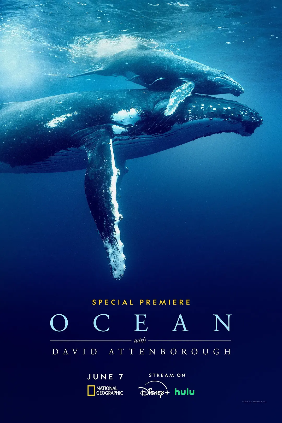 【纪录片】大卫·爱登堡：海洋（2025）4K高清 纪录片 英语中字 夸克百度迅雷UC网盘