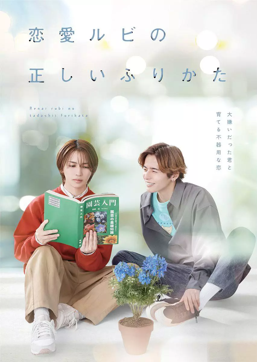 【日剧】恋爱的正确标记法 (2025) 1080P高清 爱情/同性 日语中字 夸克百度迅雷UC网盘